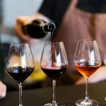 Activity: wine tasting!